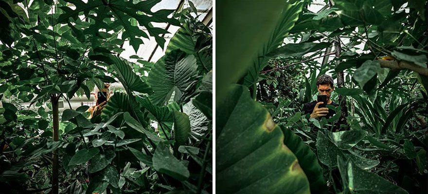 Slovakia, Bratislava, August 8, 2021