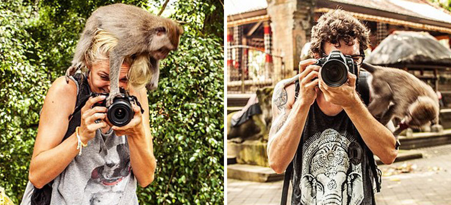 Indonesia, Bali, Monkey Forest, Ubud, March 16, 2015