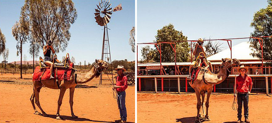 Australia, Uluru Camel Tours, January 14, 2015