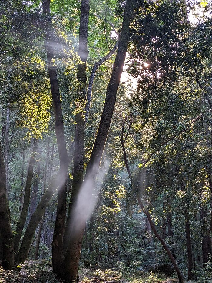 Taken Within The Mountains But It Counts