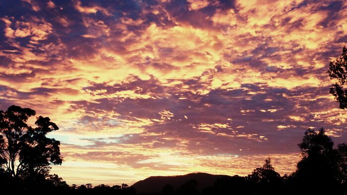 Took This Years Ago Driving Through My Neighbor's Property On My Way To School