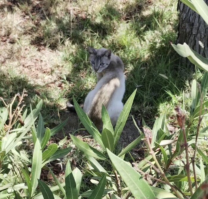 Raising Cheeky And Frankie (11 Pics)