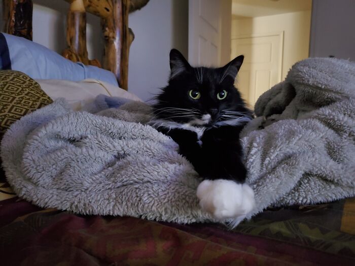 This Is Nucklehead, And Name Fits. Fits