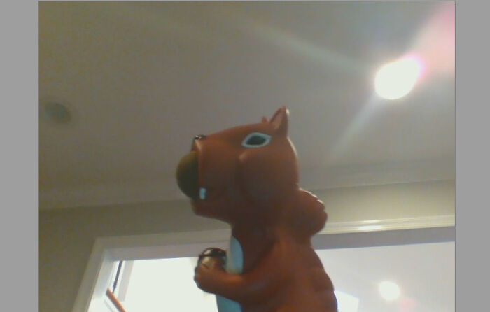 This Squirell That Shoots Out A Nut From Its Mouth. Played It Since I Was Three