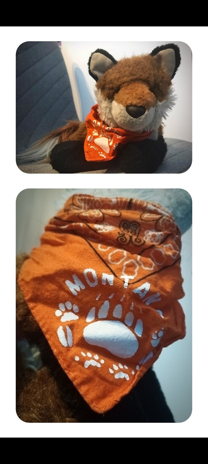 This My Stuffed Animal Fox, Which I Named Roxie. I Received It As A Gift From My Relatives In Colorado When I Was A Toddler