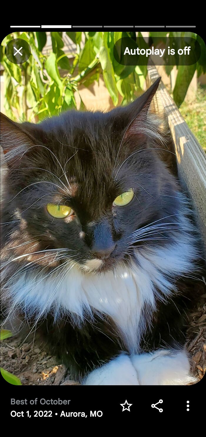 Knucklehead Is A Very Confident Young Man