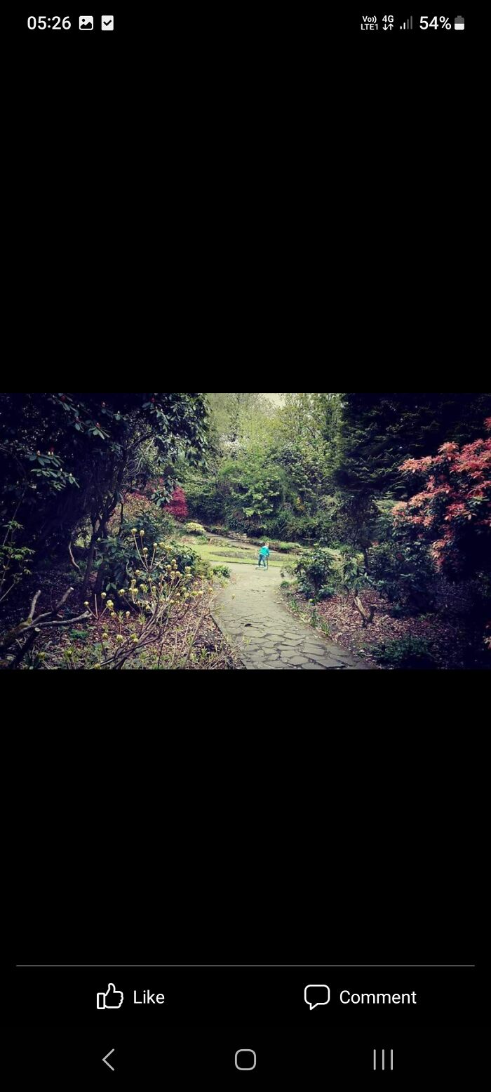My Local Park Has Some Stunning Footpaths. Took This A Few Months Ago On A Walk With My Nephew