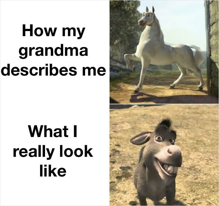 Being Like Donkey Is Not That Bad