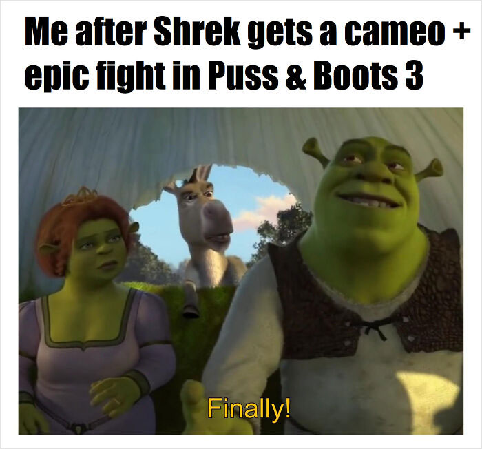 People Are Cracking Up At These 30 Spot-On Shrek Memes That Are Taking The  Internet By Storm