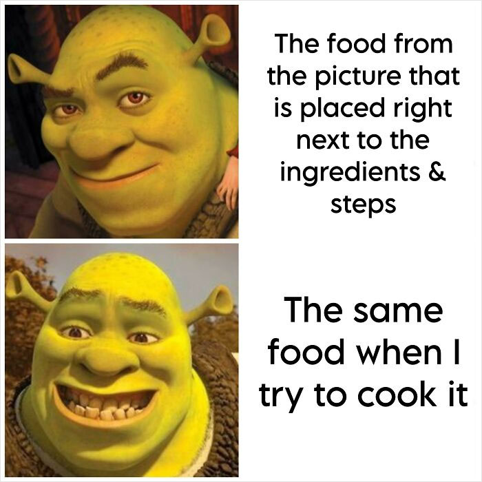 Even The Donkey Would Have Cooked It Better
