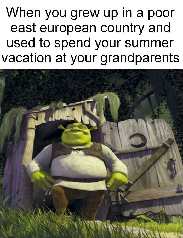 Living The Shrek Life