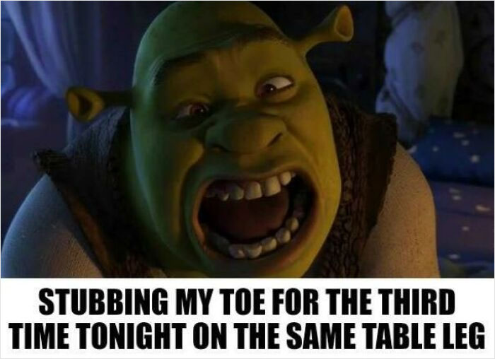Shrek Knows About Pain