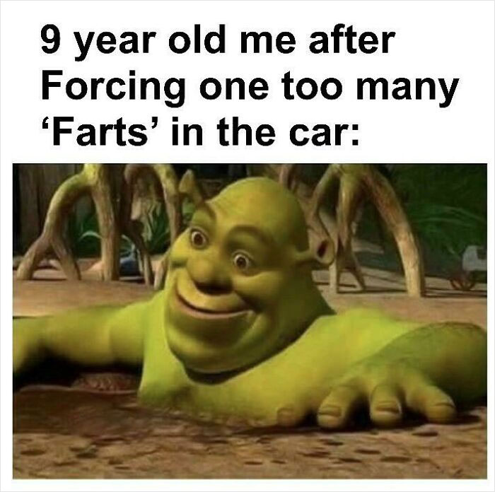 Shrek Memes 