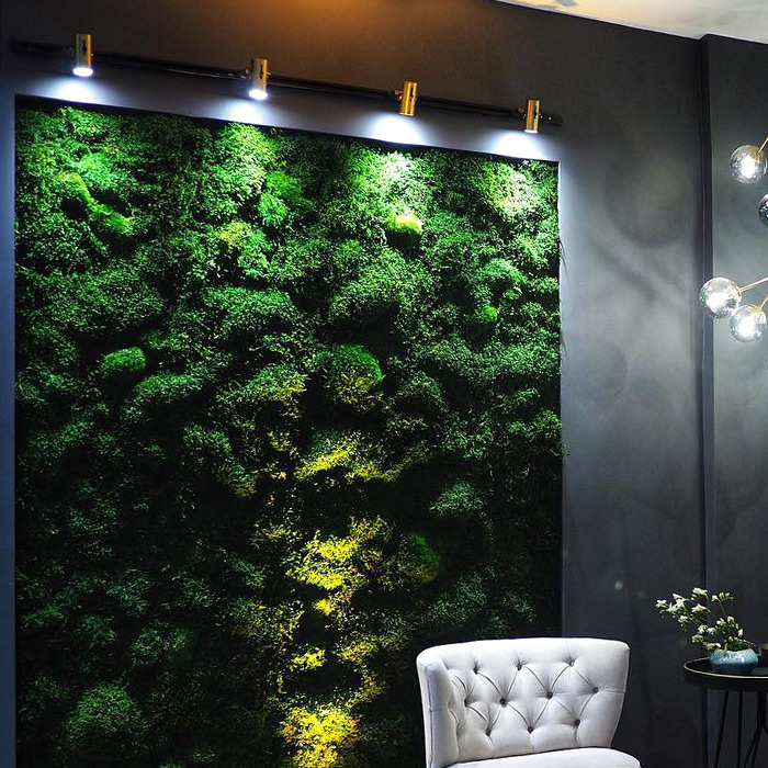 The Guide to Stunning Accent Wall Ideas From Style to Step by Step