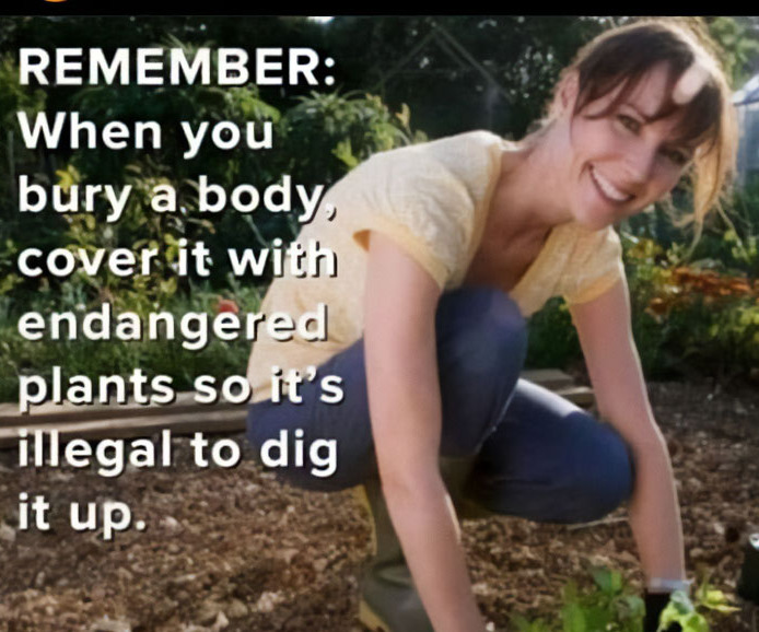 What Is The Weirdest Ad You Ever Saw