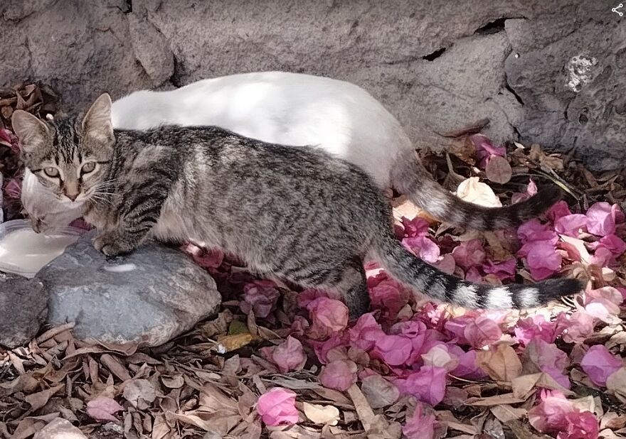 Wildfires Rapidly Spreading Closer To Our Area