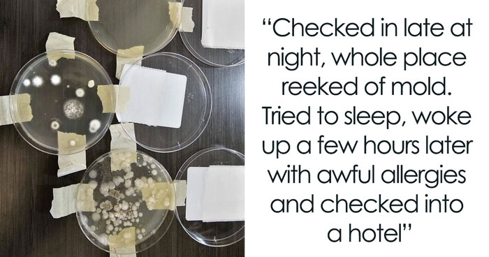 Airbnb Guest Tests Air Quality Due To Mold Smell As The Host Denied The Issue, Gets Alarming Results