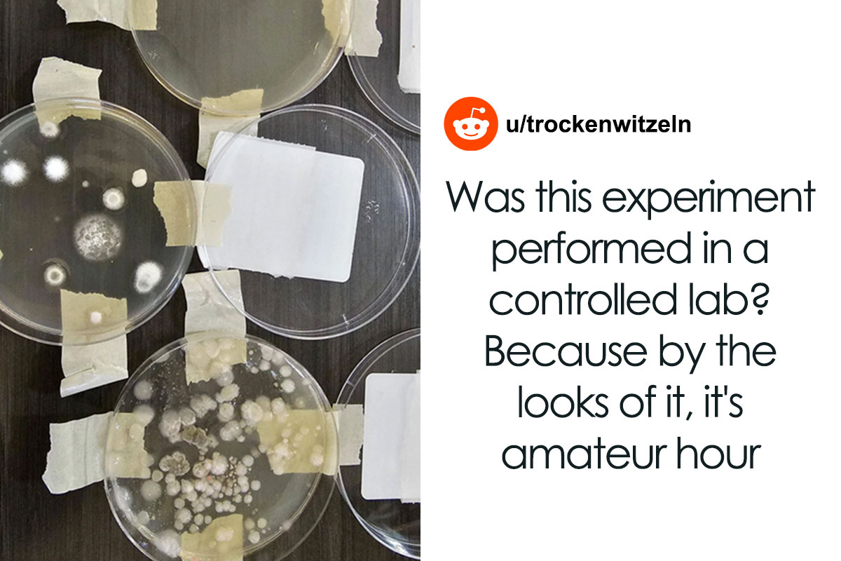 Airbnb Guest Tests Air Quality Due To Mold Smell As The Host Denied The