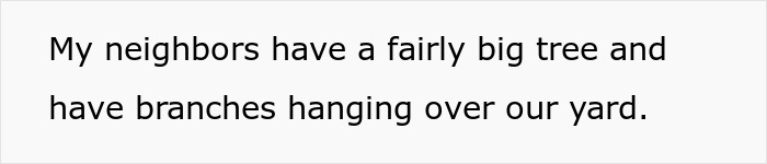 Person Maliciously Complies With Annoying Neighbor Who Kept Asking Them To Cut Down His Tree Person Maliciously Complies With Annoying Neighbor Who Kept Asking Them To Cut Down His Tree
