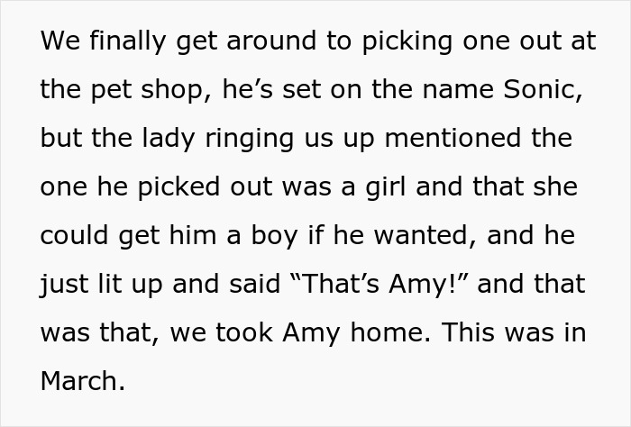 Parent Won’t Make Son Change Hamster's Name Which SIL Wants For Her Child, She Absolutely “Blows Up”