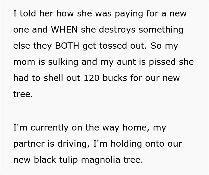 Family Drama Ensues As Entitled Woman Uproots Nice Magnolia Tree In Her Nephew's Garden