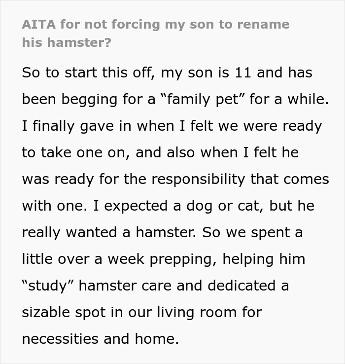 Parent Won’t Make Son Change Hamster's Name Which SIL Wants For Her Child, She Absolutely “Blows Up”