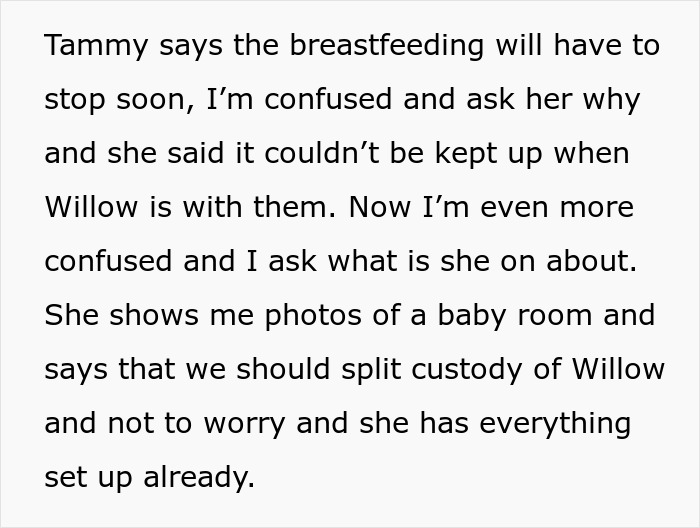 "Delulu" Stepmom Is So Convinced Stepdaughter Will Give Her Baby To Her, She Has The Nursery Ready