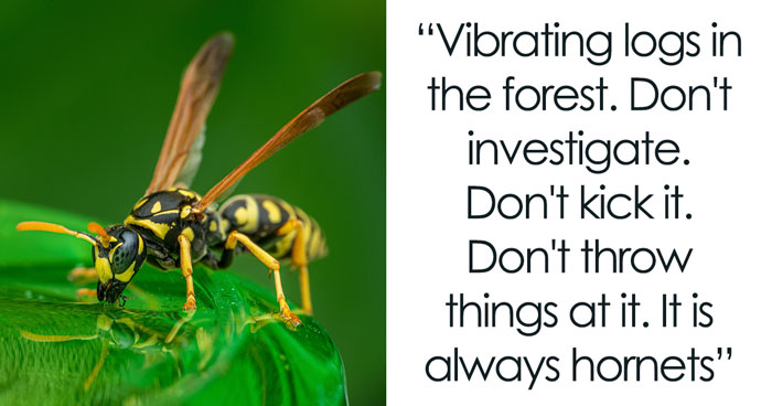 This Viral Thread Has People Pointing Out Things People Should Avoid Like The Plague (43 Answers)