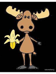 banana-moose-64c92327b8693.jpg