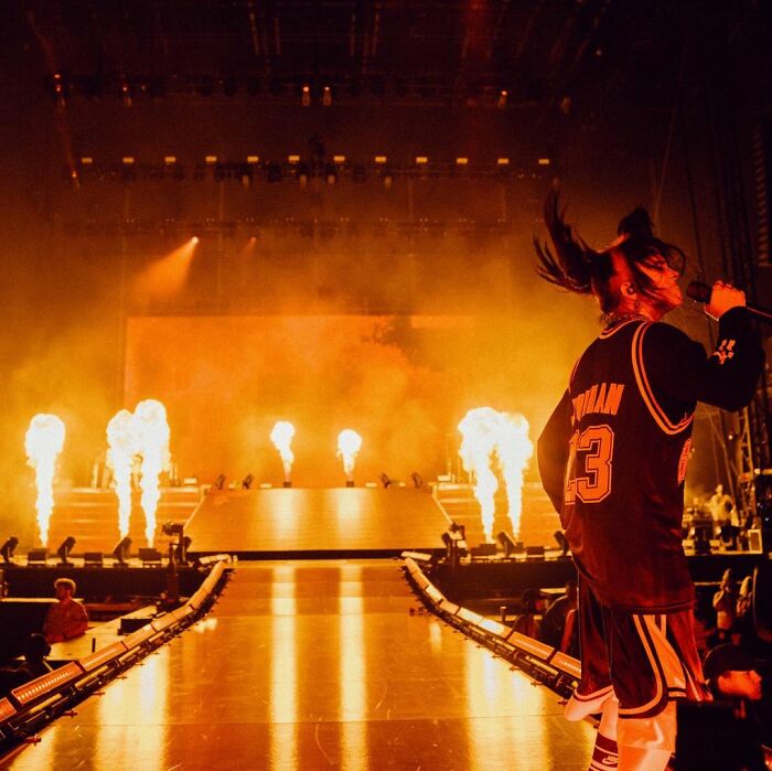 Billie Eilish Shows Off Bold New Red Hair Following TikTok's "Gemini" Trend, Makes Fans Freak Out