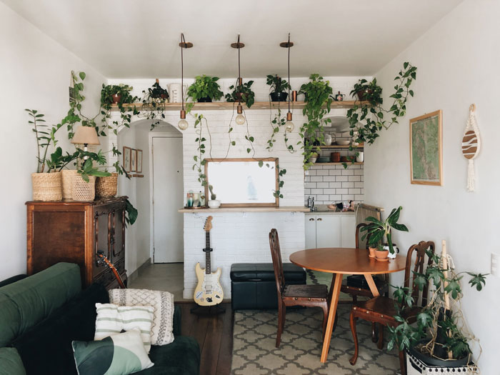 A breakfast nook in a hall surrounded by hanging plants and vines A breakfast nook in a hall surrounded by hanging plants and vines