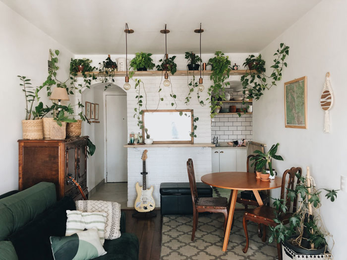 A breakfast nook in a hall surrounded by hanging plants and vines