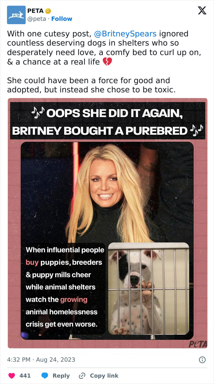 Britney Spears Gets Slammed By PETA After Sharing News Of Her Dog Snow