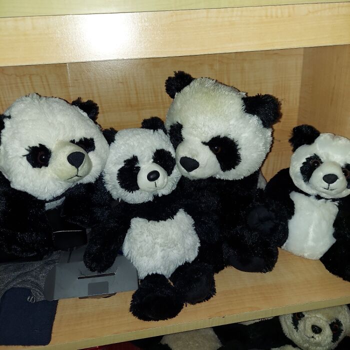 A Small Sample. I Have So Many!