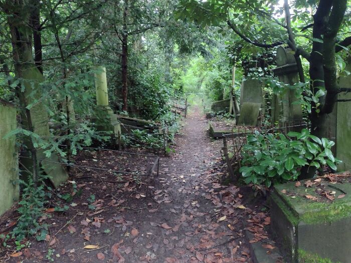 A Path In An Old Cemetery With Many Graves From The 19th Century