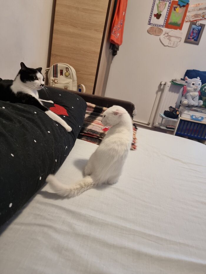 Nina And Little Apollo