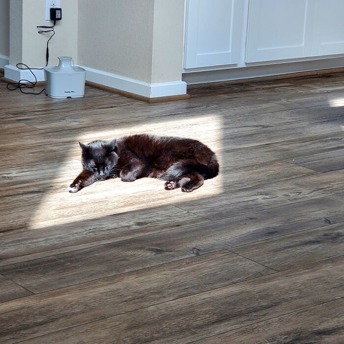 Anakin Has Found His Sunbeam