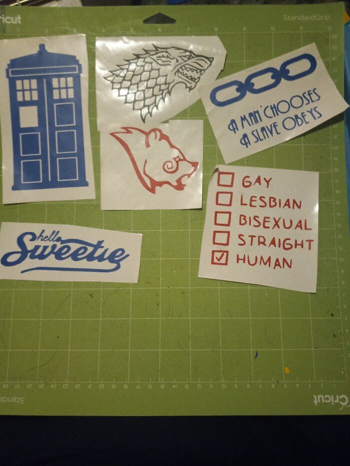 Made These (And Loads Of Others) Using My Cricut