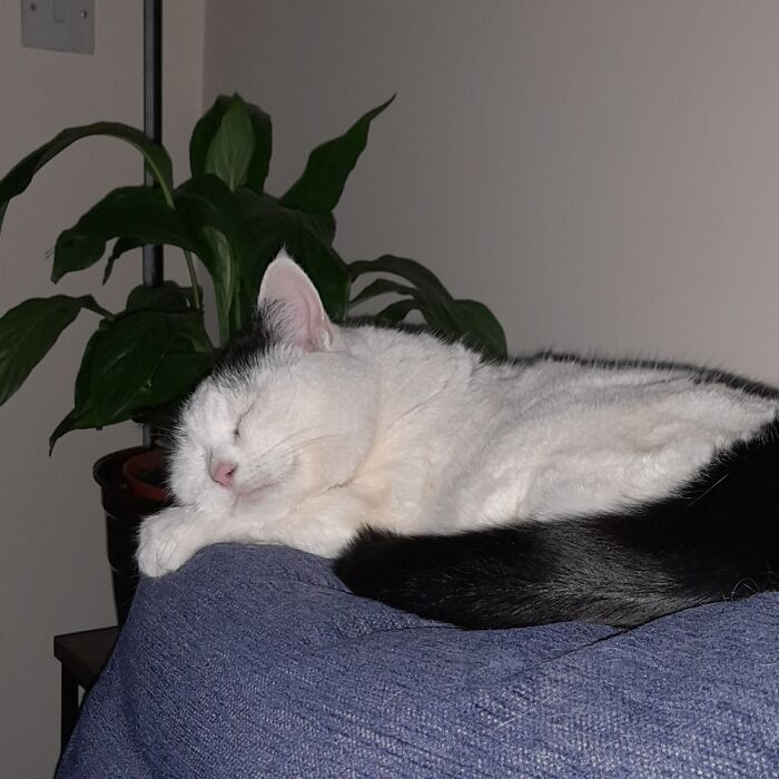 Sweet Dreaming. My Little Girl Lily