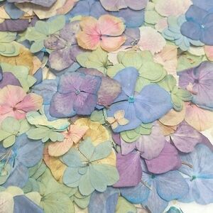 rebeccascully avatar