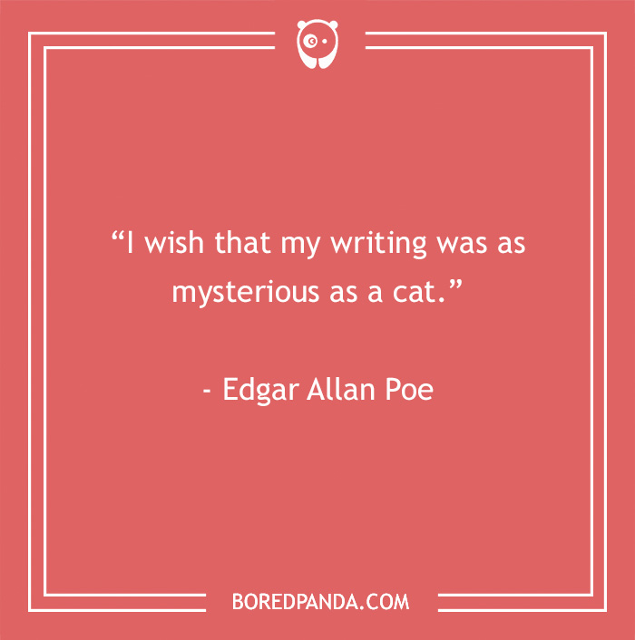 Edgar Allan Poe quote about mystery of cats