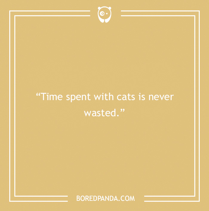 quote about time spending with cats