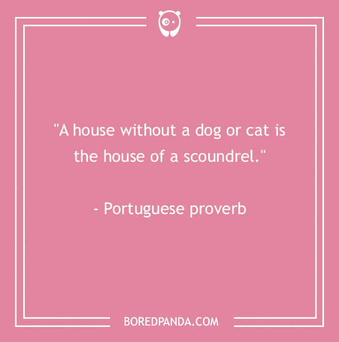 Portuguese proverb about pets