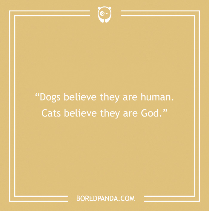 funny quote about dogs and cats