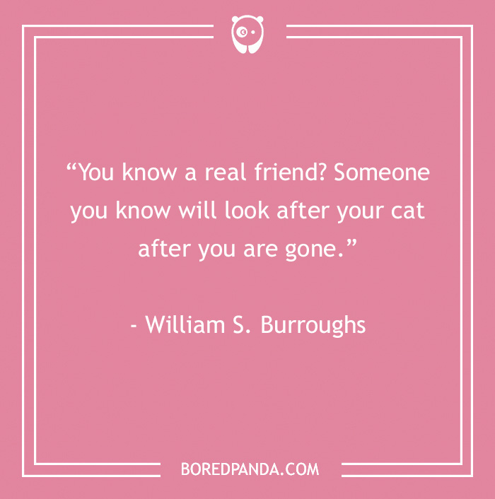 William S. Burroughs real friends quote