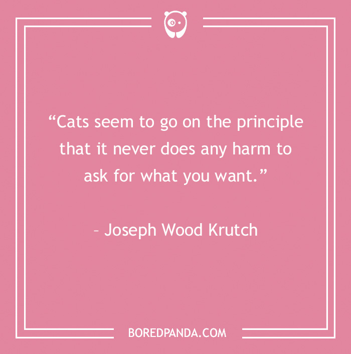 Joseph Wood Krutch quote about cat's principle
