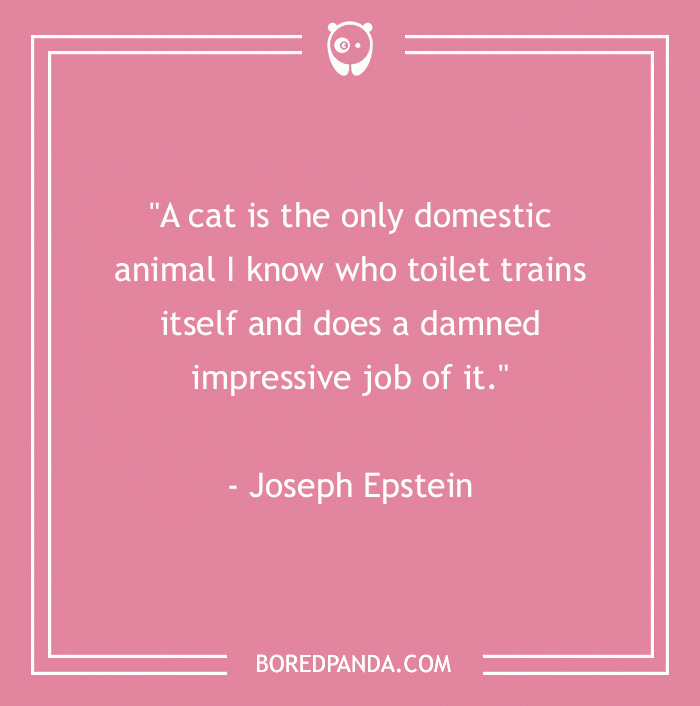 Joseph Epstein quote on cats