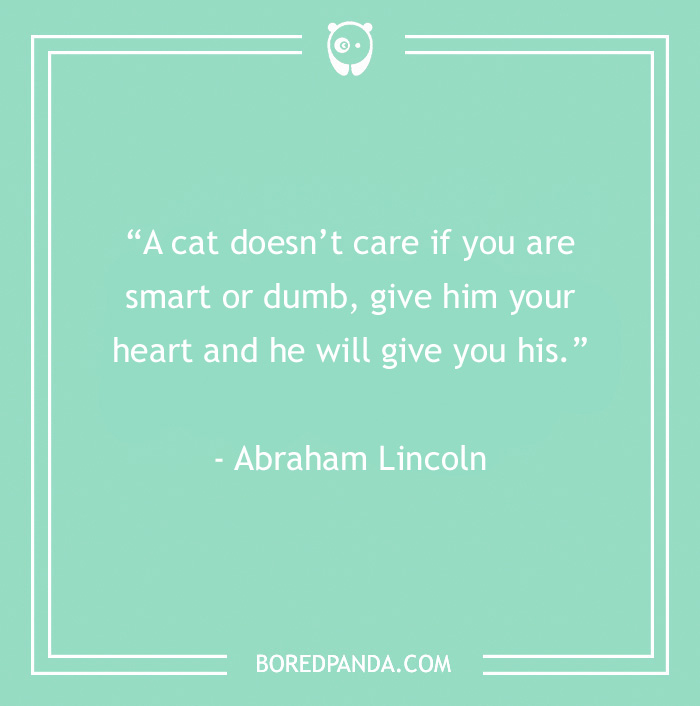 Abraham Lincoln cats devotion quote