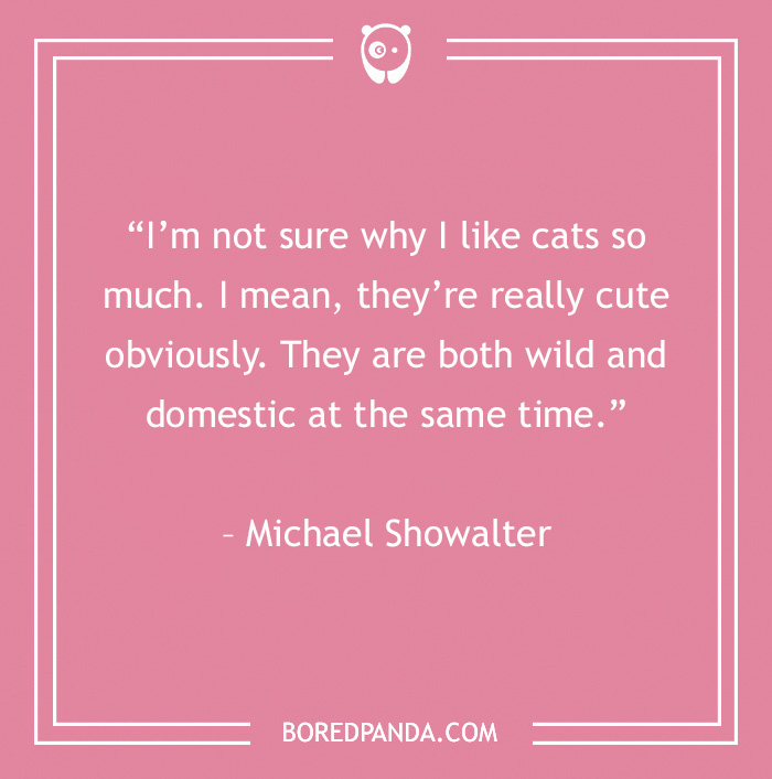 Michael Showalter cute cats quote