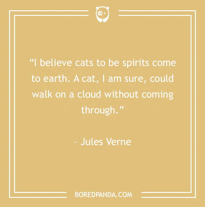 Jules Verne quote about that cats